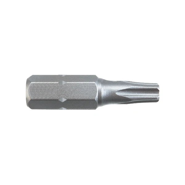 1/4" Hexagon Drive 25mm Long Torx Insert Bit